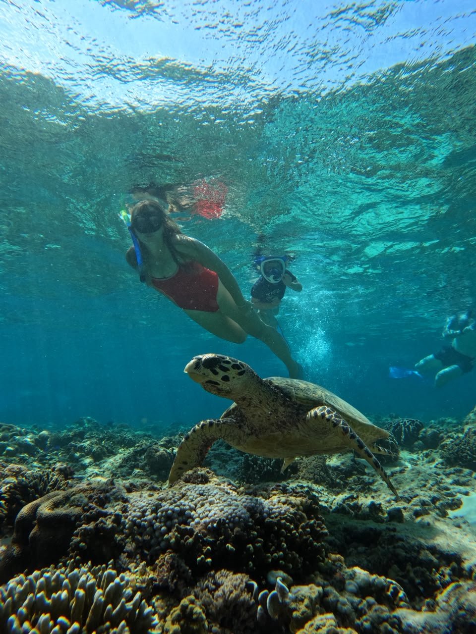 Sunset snorkeling trip in turquoise water, Gili Islands